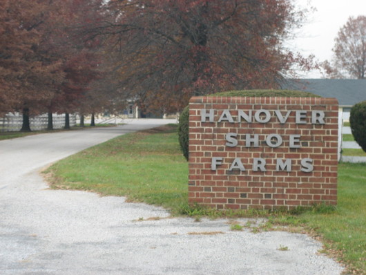 hanover_shoe_farms.jpg